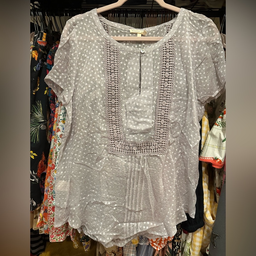 Meadow Rue ANTHROPOLOGIE Sheer Silk Swiss Dots Grassland Blouse Silver Fog Sz L